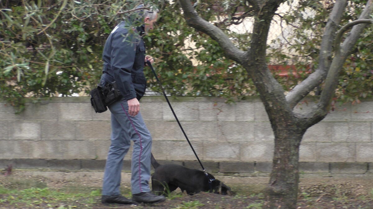 A scuola con 200 grammi di hashish, 18enne in arresto - 