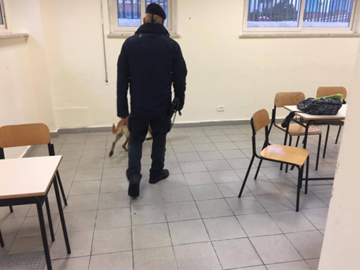 Controlli antidroga nelle scuole superiori di Gaeta: rinvenute dosi di hashish. - 