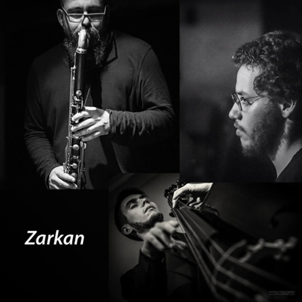 Venerdì 11 Gennaio al MadXII di Latina il concerto del trio musicale “Zarkan”. - 
