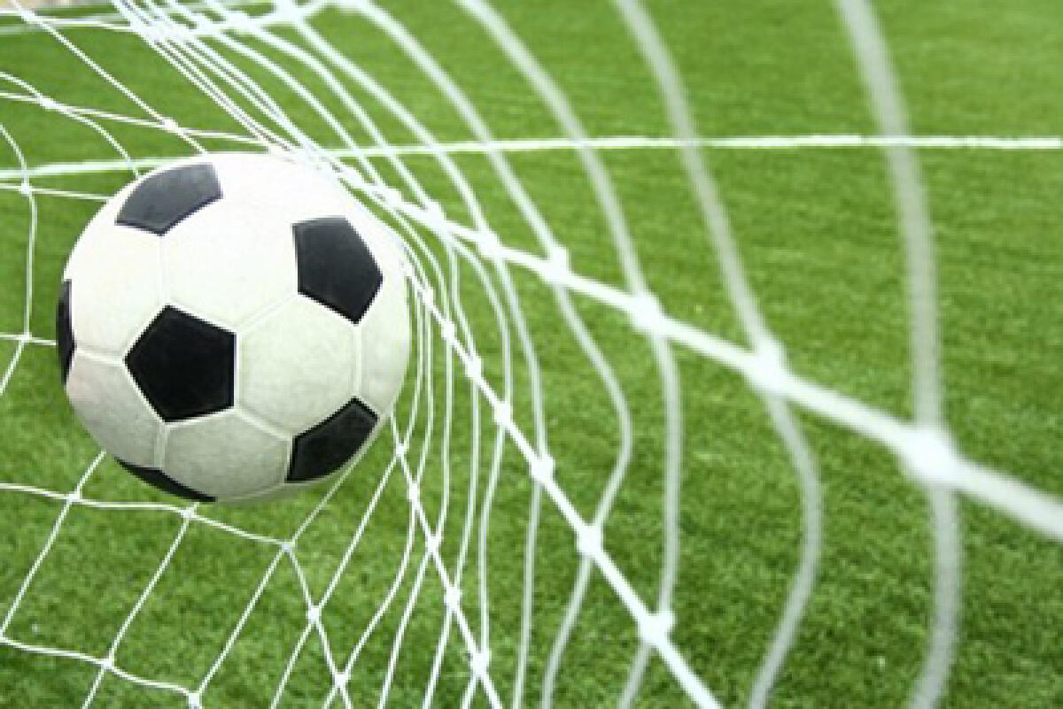 Insulti all’arbitro durante la partita di calcio Ostia Mare-Lupa Roma: la Polizia denuncia un 18enne. - 