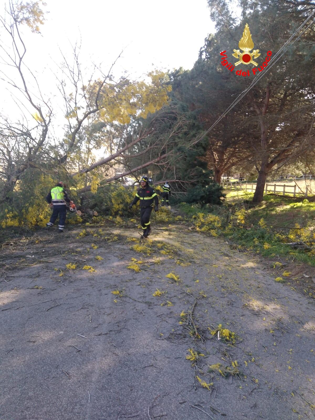 Forti raffiche di vento, Appia chiusa a Cisterna e Pontinia. Interventi in tutta la provincia di Latina. - 