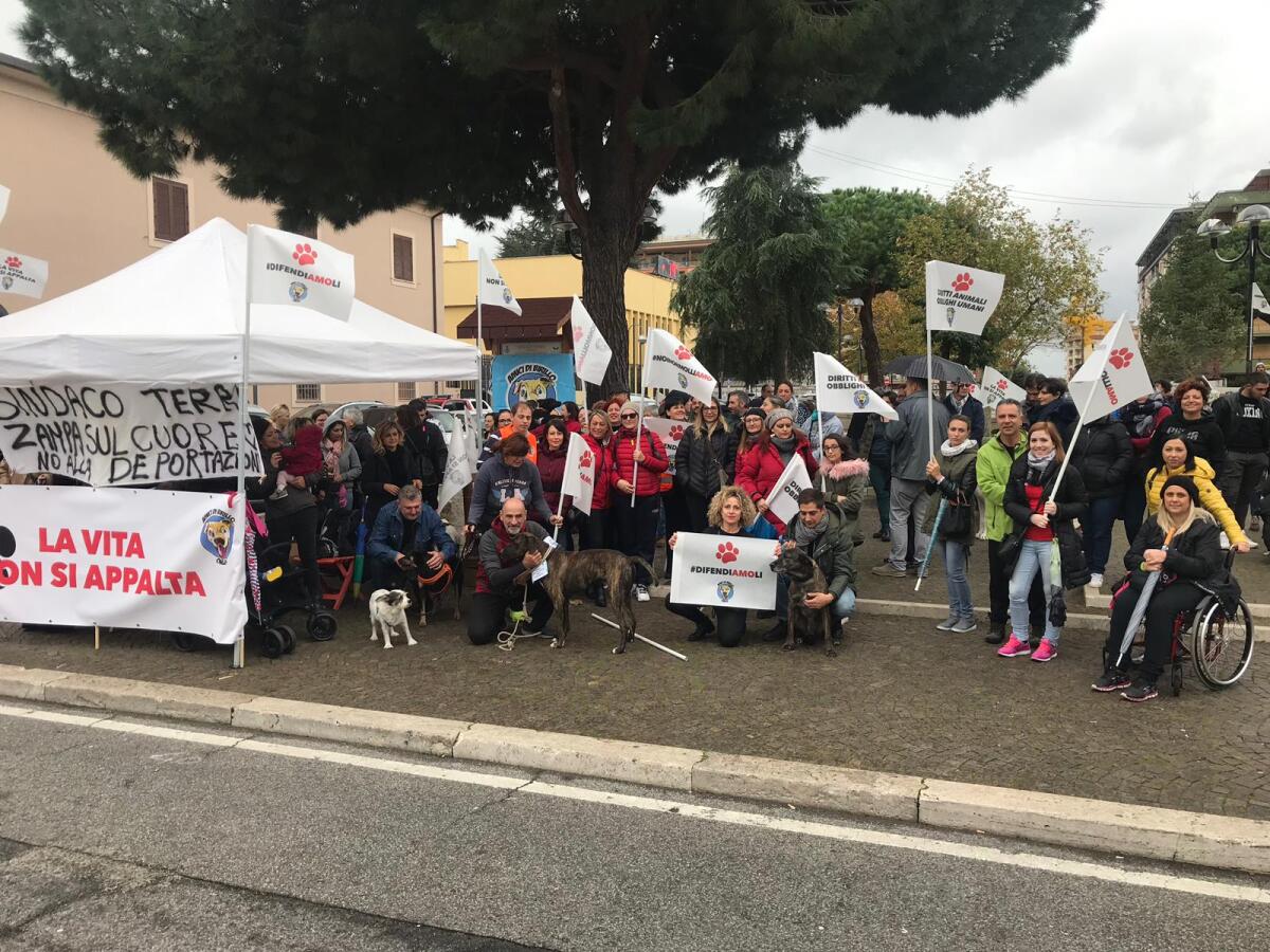 APRILIA – “Amici di Birillo” sollecita il Comune: “si reperiscano i fondi per il canile comunale e per le sterilizzazioni”. - 