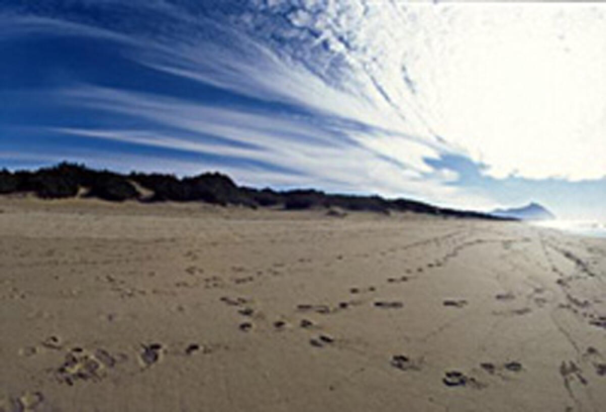 Ripascimento, "L'intesa tra Latina, Sabaudia e la Regione produce frutti importanti" - 