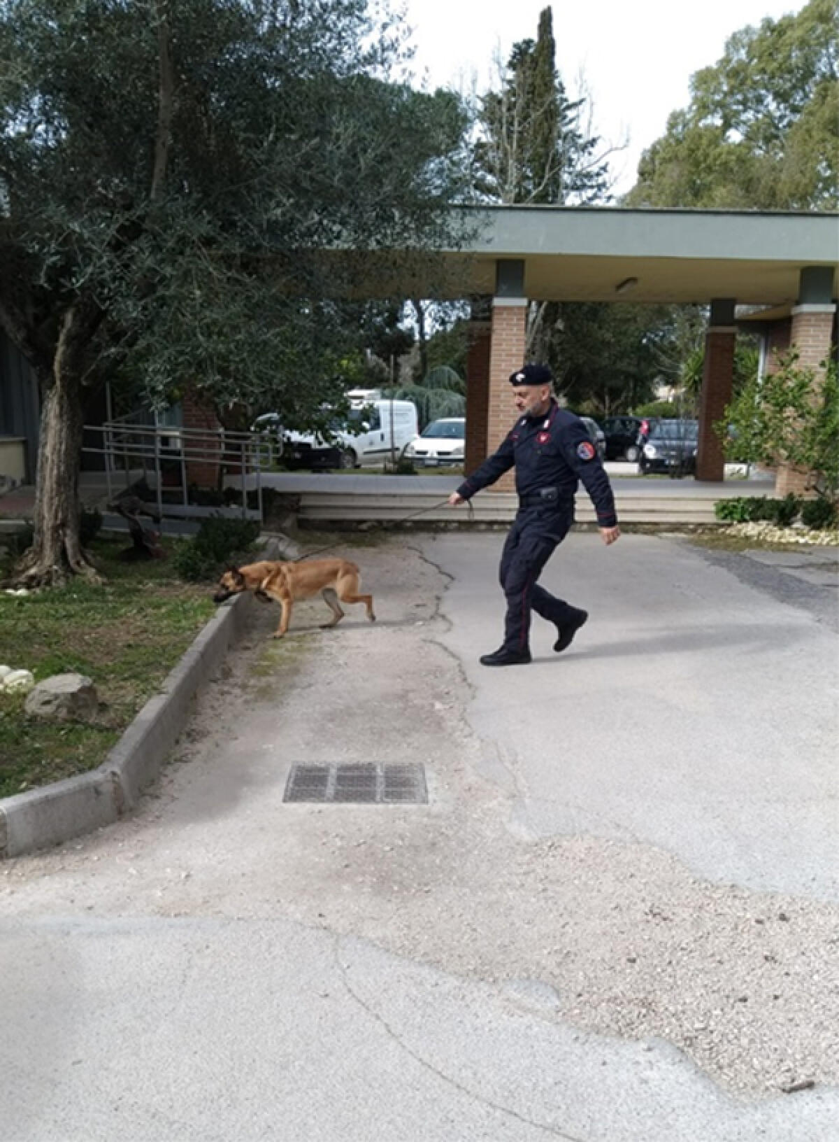 Scuole sicure, i controlli dei carabinieri di Latina negli istituti superiori - 