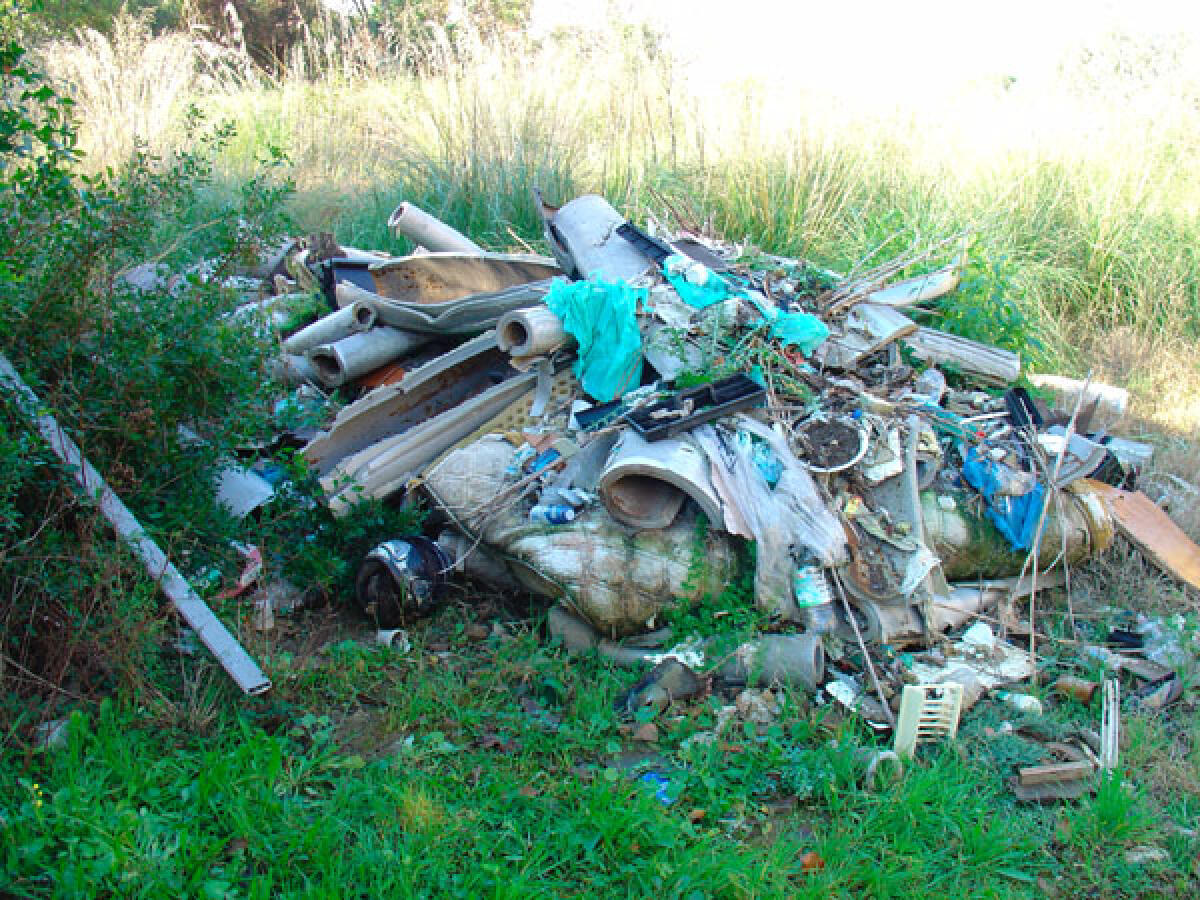 Getta pietre e terra in strada, denunciato - 