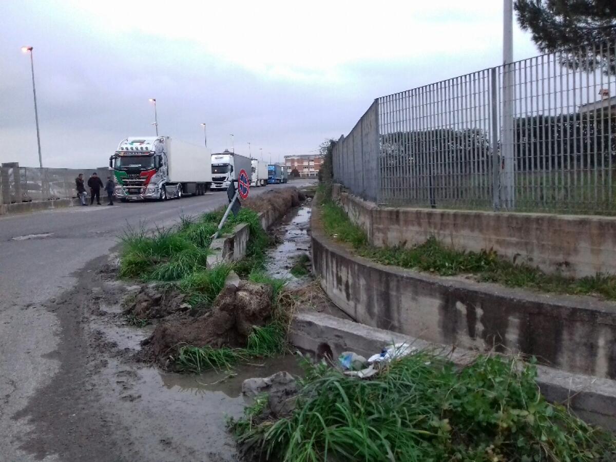 Degrado alla Borgata Agip di Aprilia: la foto-denuncia del circolo Pd Aprilia Centro. - 