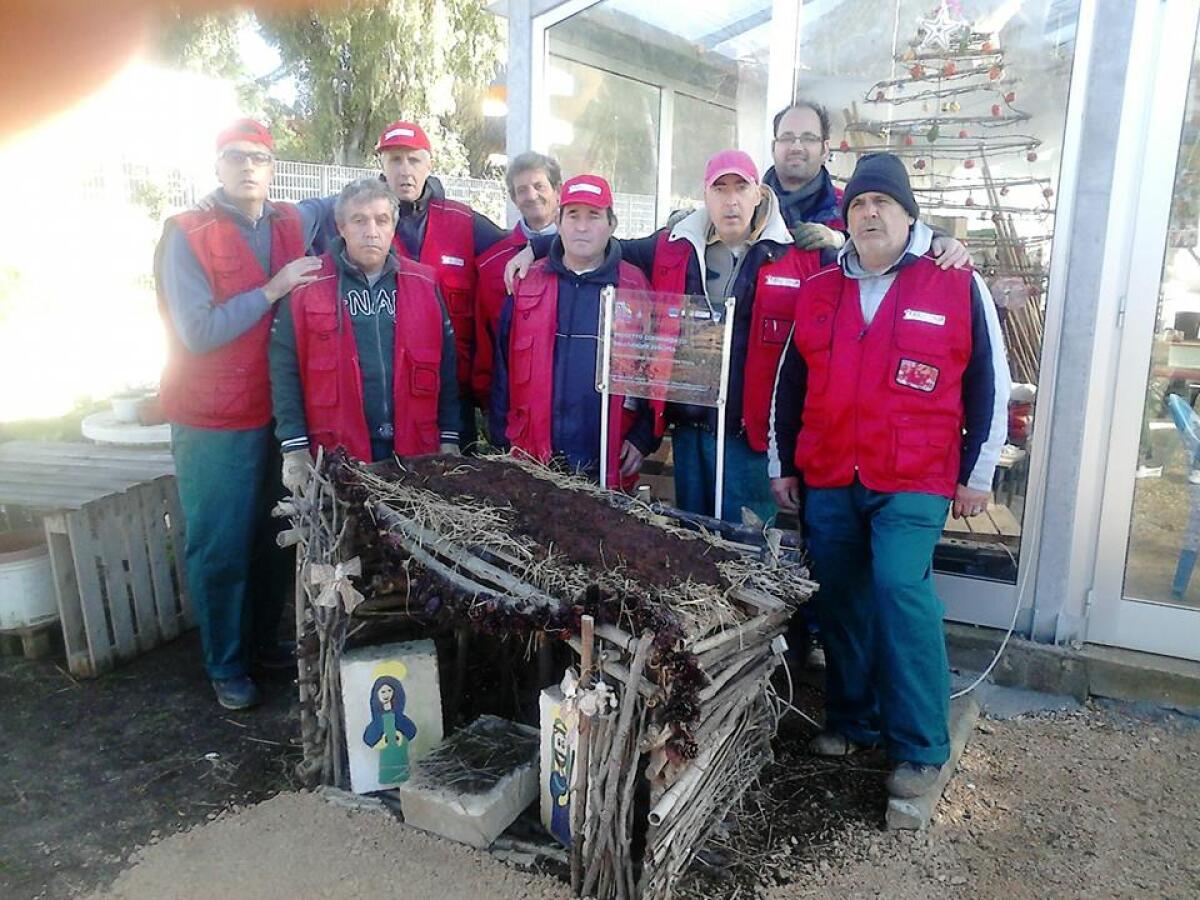 Piantine di fragole in vendita a favore dei ragazzi del Dsm di Aprilia: acquisteranno attrezzature per la serra fotovoltaica. - 