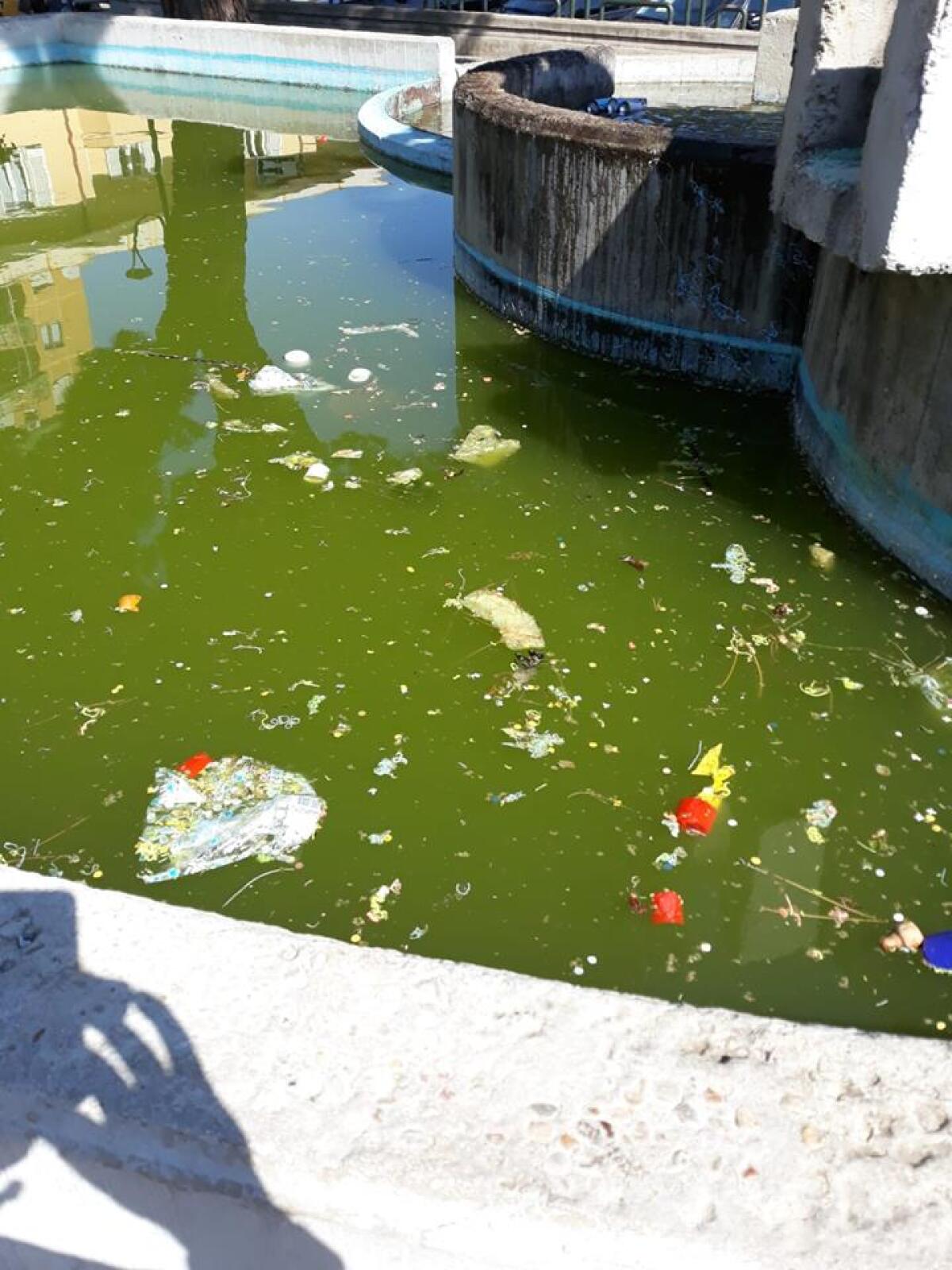 L'acqua della fontana di Piazza Roma, ad Aprilia,  putrida e maleodorante. Il Comune intervenga. - 