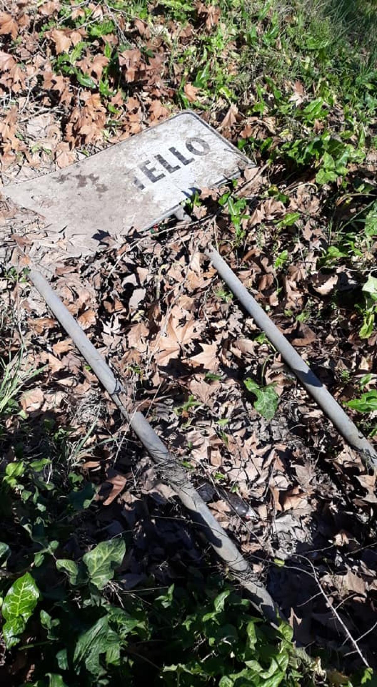 Latina, "Cartelli e strisce pedonali inesistenti nei borghi e in centro" - 