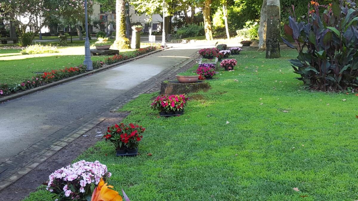 Cura del verde ad Anzio per la stagione turistica alle porte - 