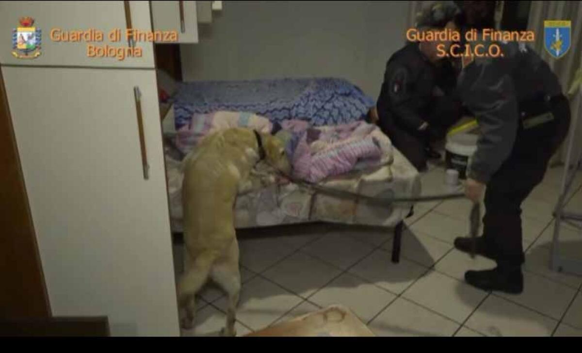 Droga dal Pakistan e rivenduta in Italia, 22 arresti. Uno ad Anzio - 