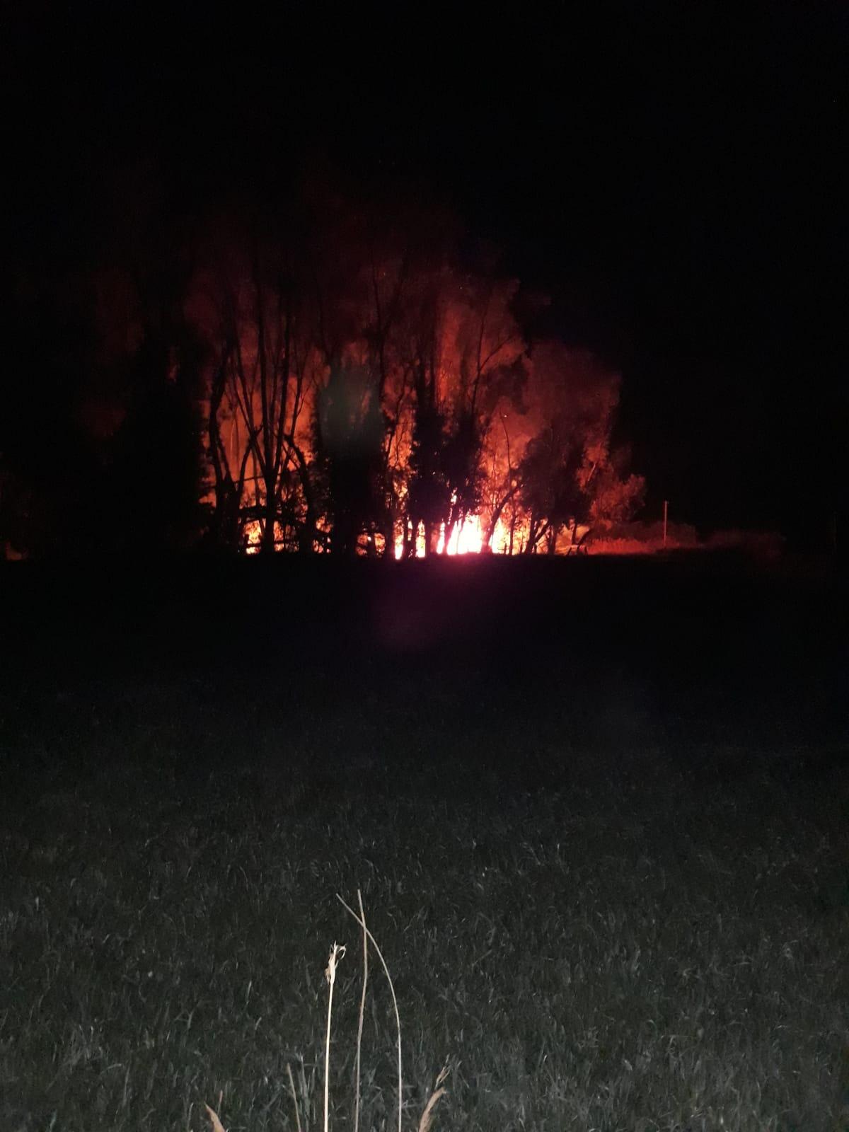Vasto incendio nella zona del Laghetto degli Alfieri, a Fondi: potrebbe essere doloso. - 