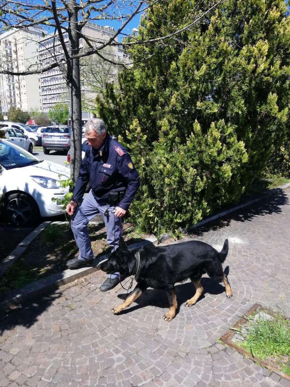 La Polizia di Latina denuncia due persone, per spaccio di droga e guida senza patente. - 