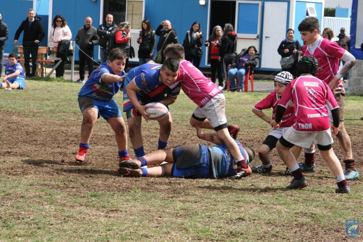 Tanti impegni e ottime prove per le squadre giovanili dell'Asd Aprilia Rugby - 