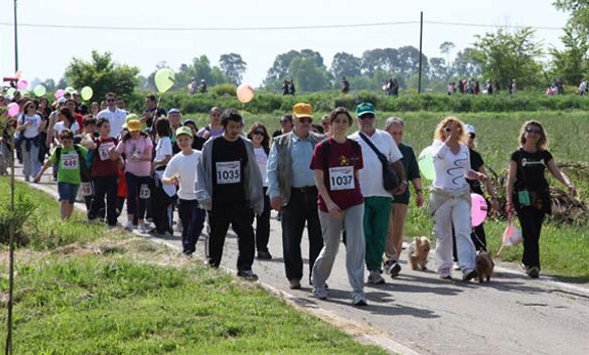Domenica 28 aprile podismo e gastronomia a Borgo Hermada con la 46esima edizione della “Pedagnalonga”. - 