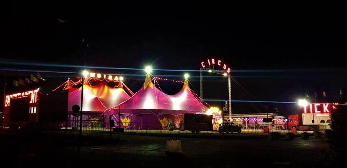 Aprilia, sit-in pacifico per dire "no" al circo con gli animali - 