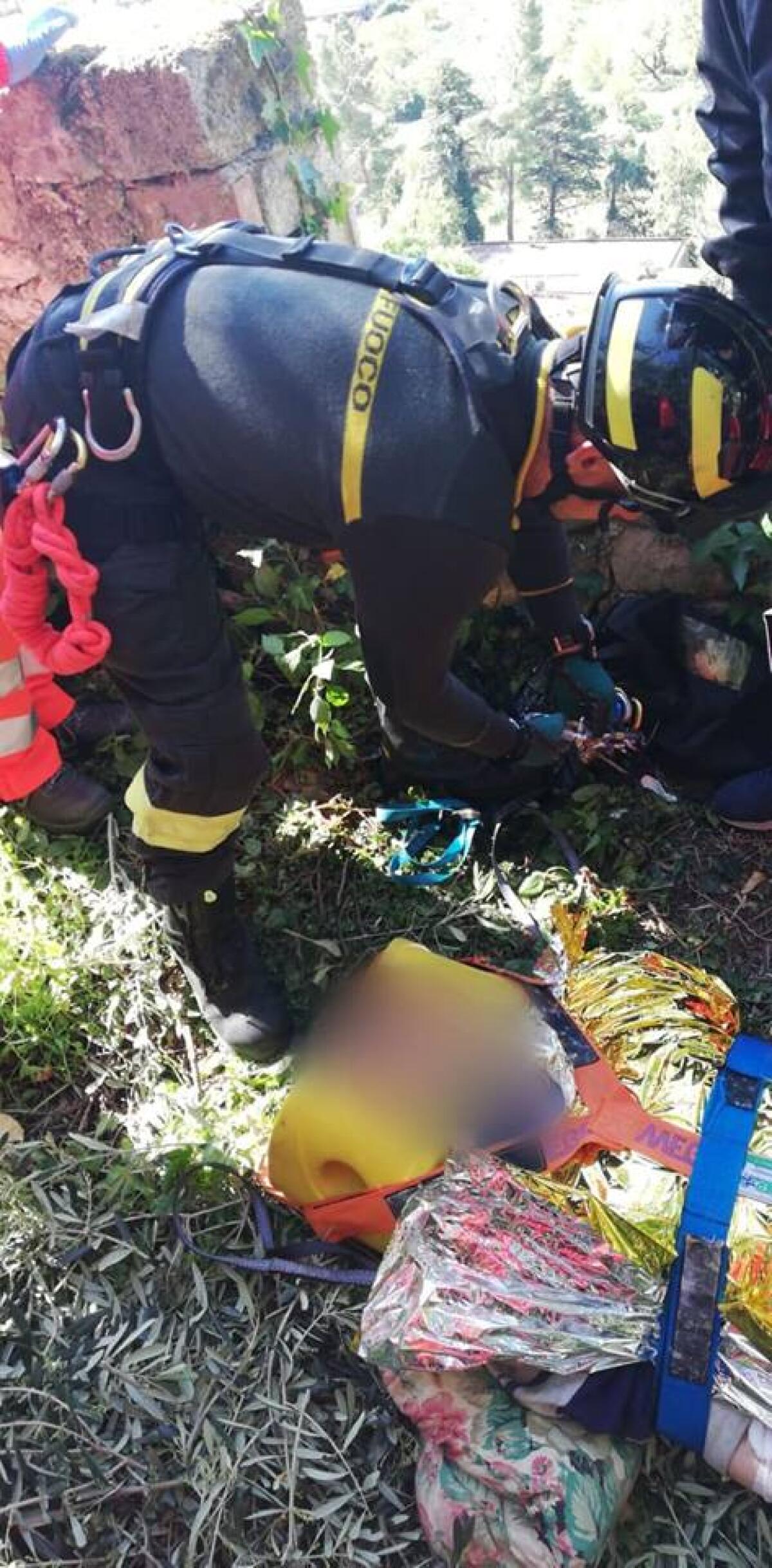 Precipita da un albero di ulivo a Monte San Biagio: soccorso da un’eliambulanza. - 