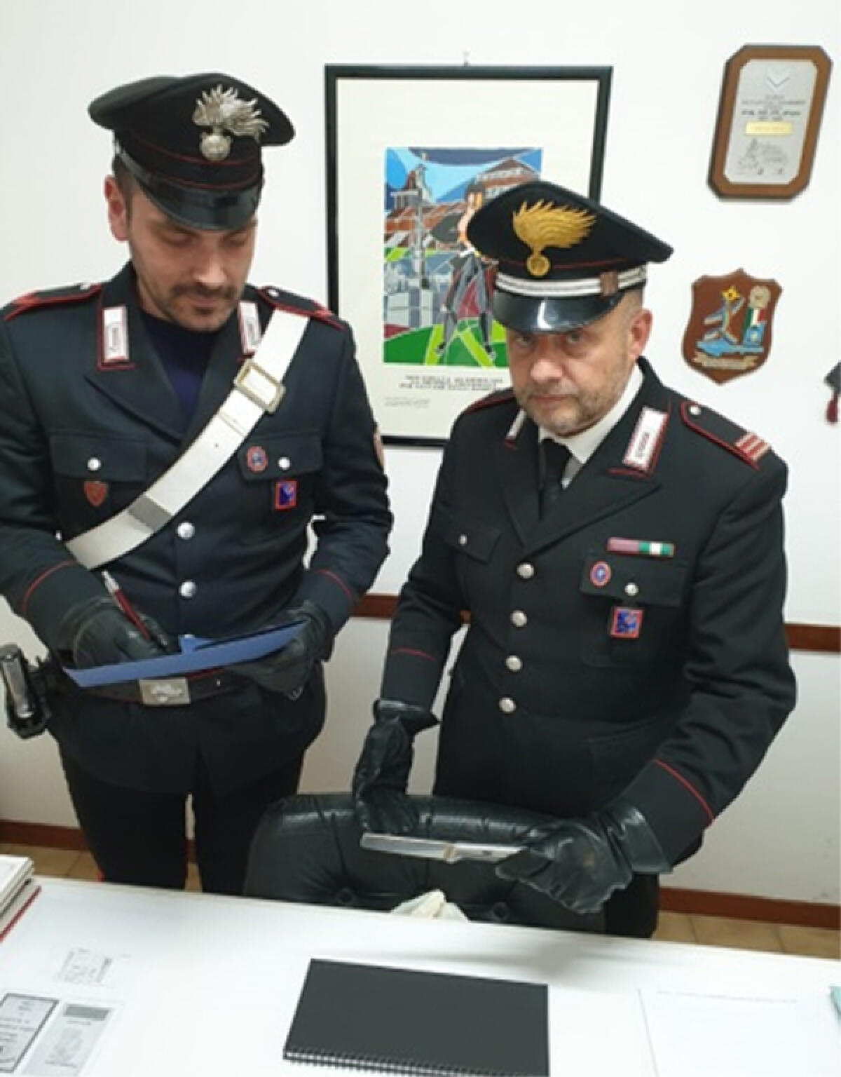 Sorpreso a rubare un motore a pompa idraulica, a Borgo Sabotino, ferisce i proprietari con un coltello. - 
