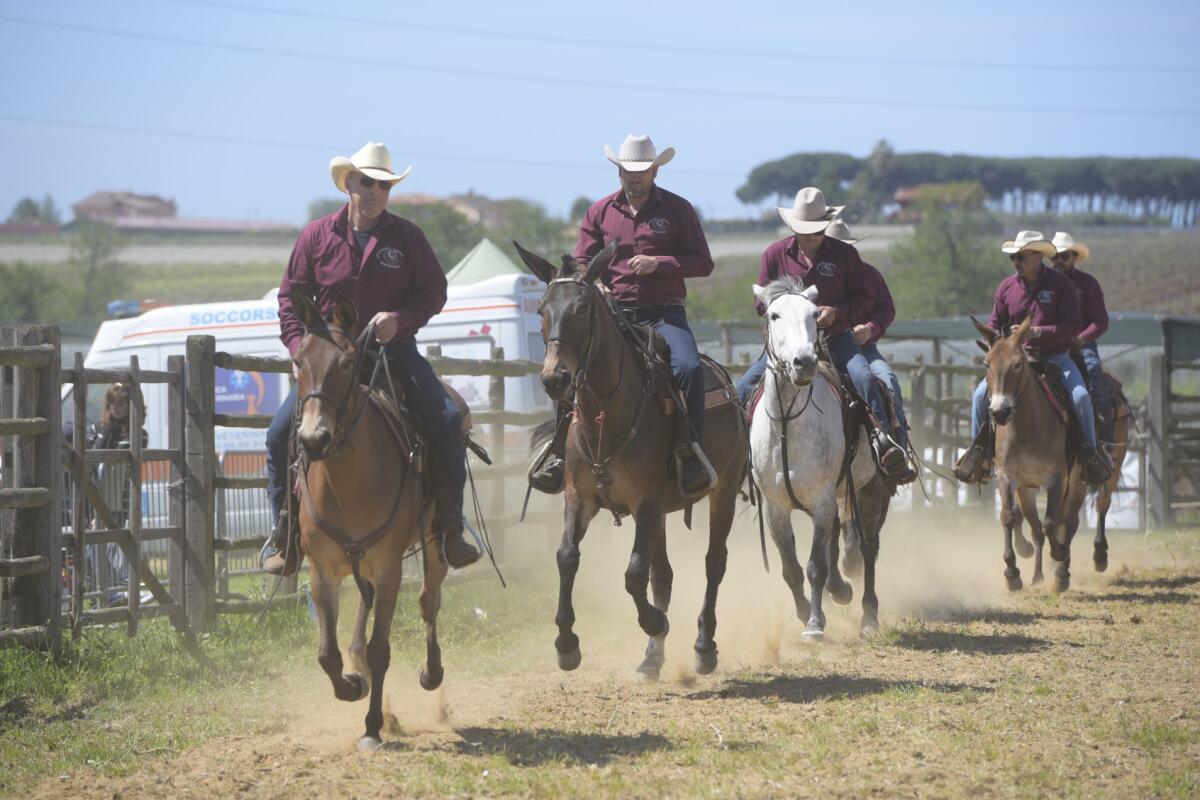 APRILIA - Questo mercoledì 1° maggio si chiude la Mostra Agricola di Campoverde. Tanti eventi in programma. - 