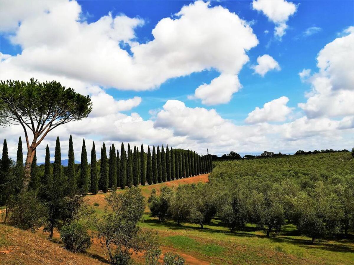 Aree Protette del territorio: progetto educativo alla “Tenuta Calissoni Bulgari” di Aprilia. - 