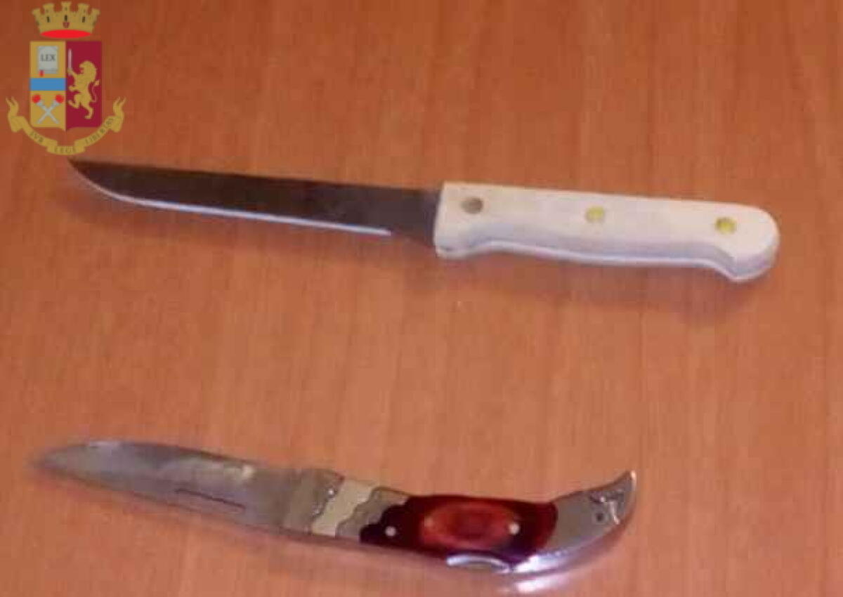 Armato di 2 coltelli tenta di colpire la madre e un poliziotto, arrestato - 