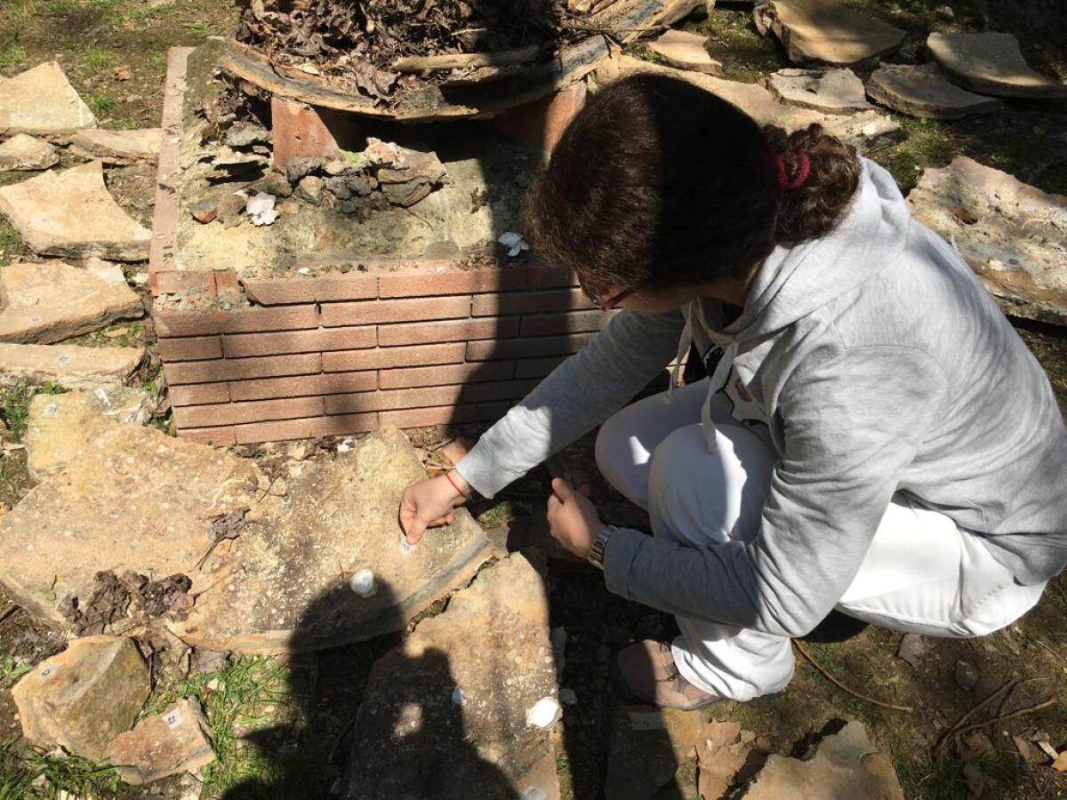 Anzio, dolium di epoca romana in frantumi: "Collassato per cause naturali" - 