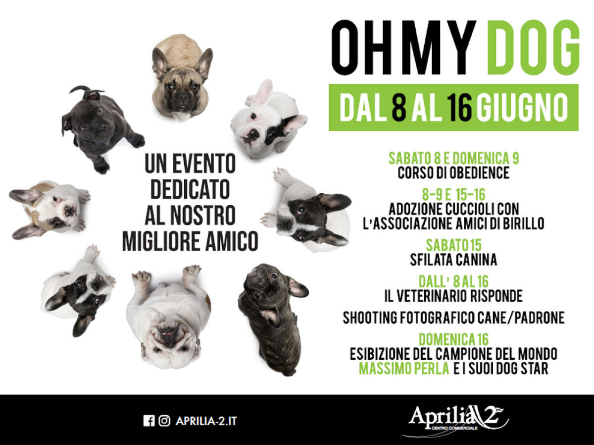“Oh my Dog”: al centro commerciale “Aprilia2” un evento dedicato ai nostri amici a 4 zampe. - 