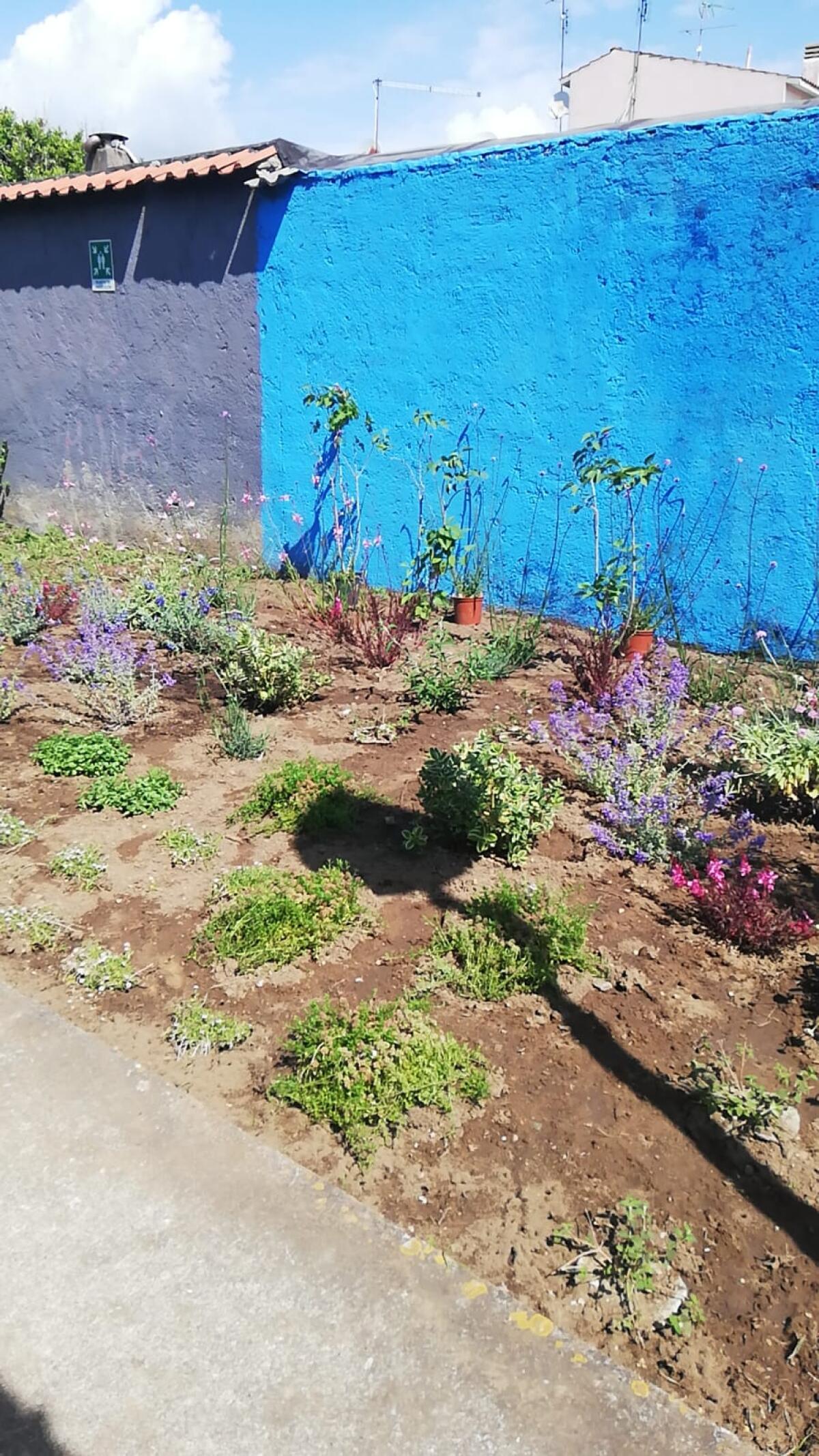 “Festa di Primavera” alla scuola d’infanzia di Campo di Carne. - 