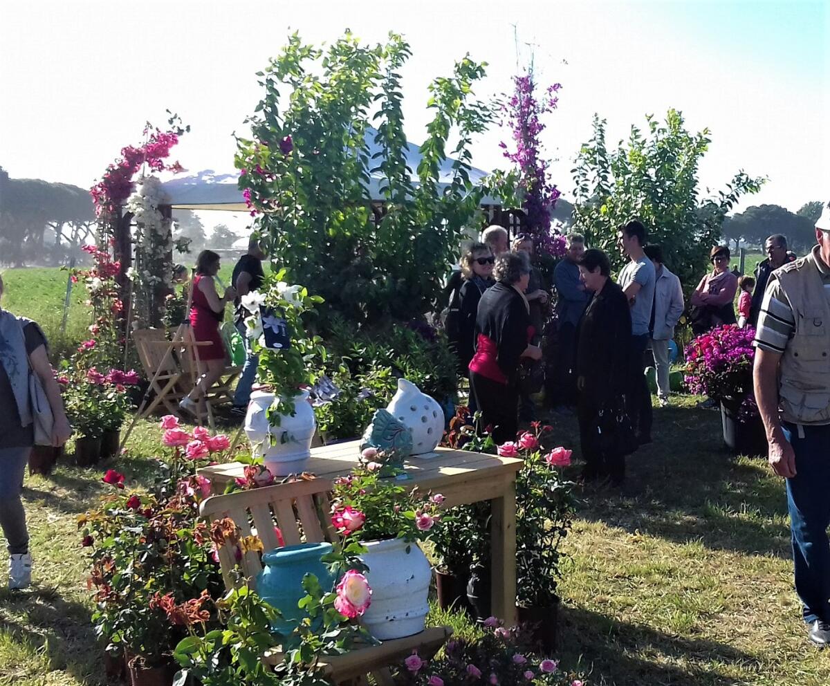 “Verde in festa”: a Latina la terza edizione della fiera florovivaistica. - 