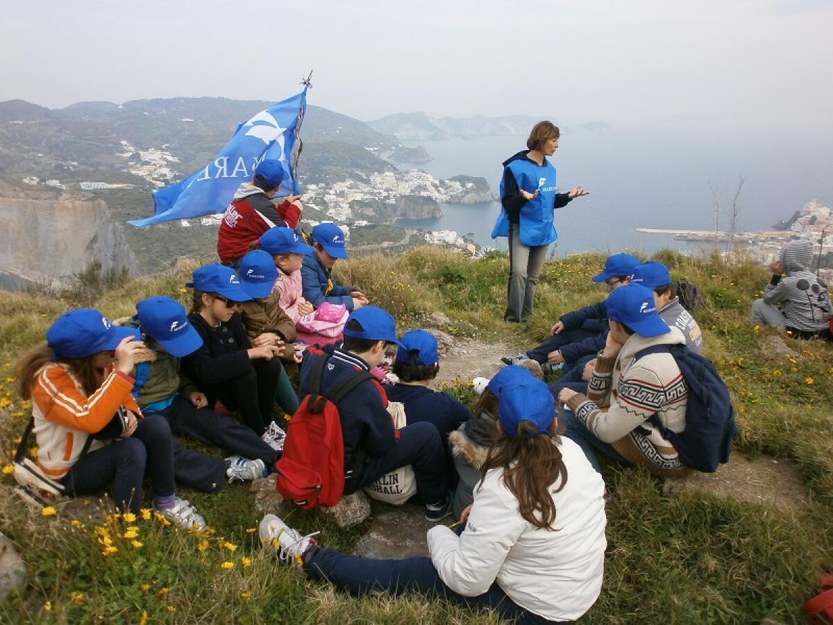 100 ragazzi della scuola Pisacane di Ponza diventano "Delfini Guardiani" - 