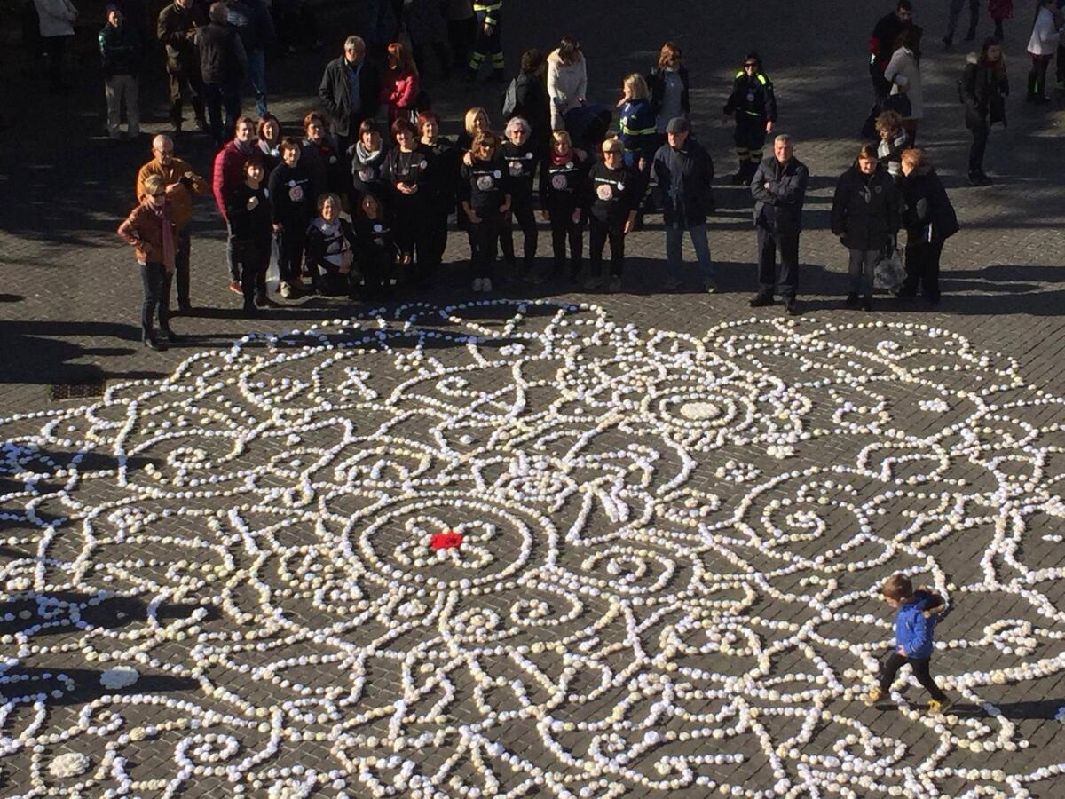 Cisterna, le 10mila rose bianche per Martina e Alessia diventano borse di studio per studenti “campioni” in solidarietà - 