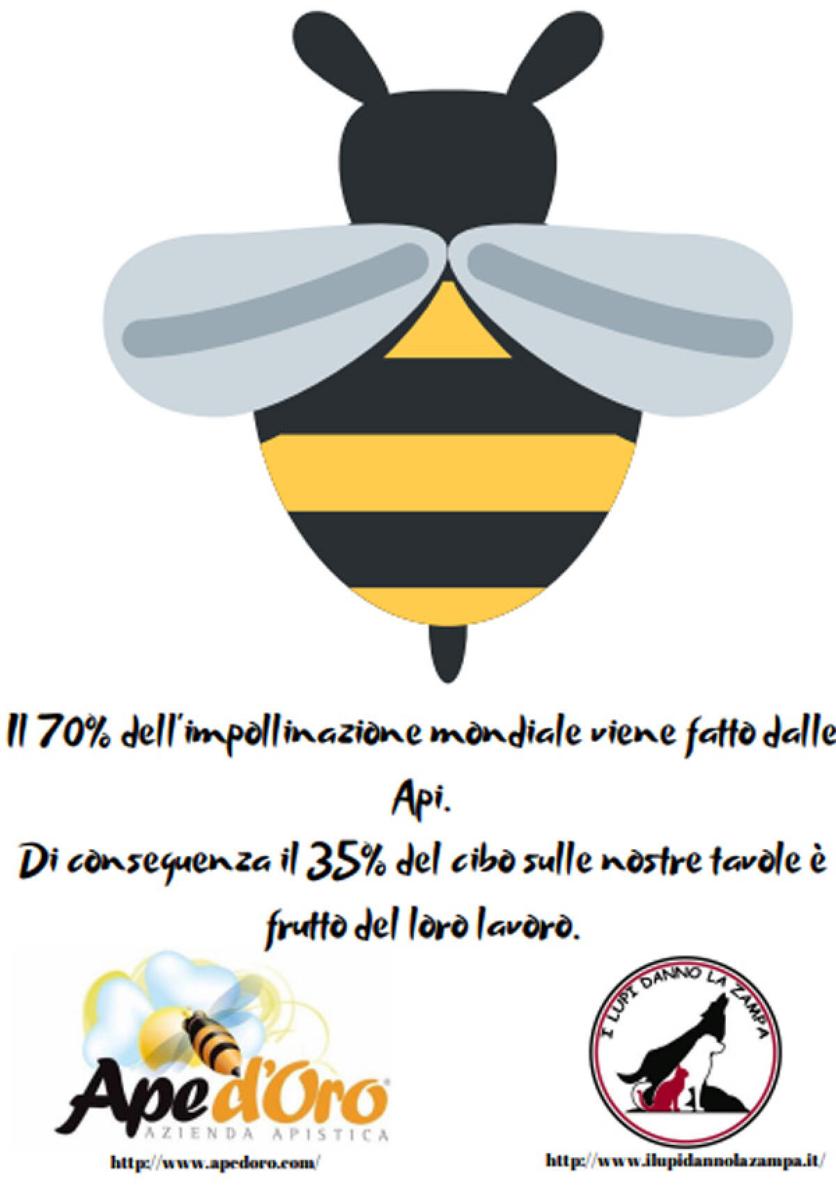 Giornata internazionale delle api, ad Aprilia un evento in piazza con "Ape d'Oro" - 