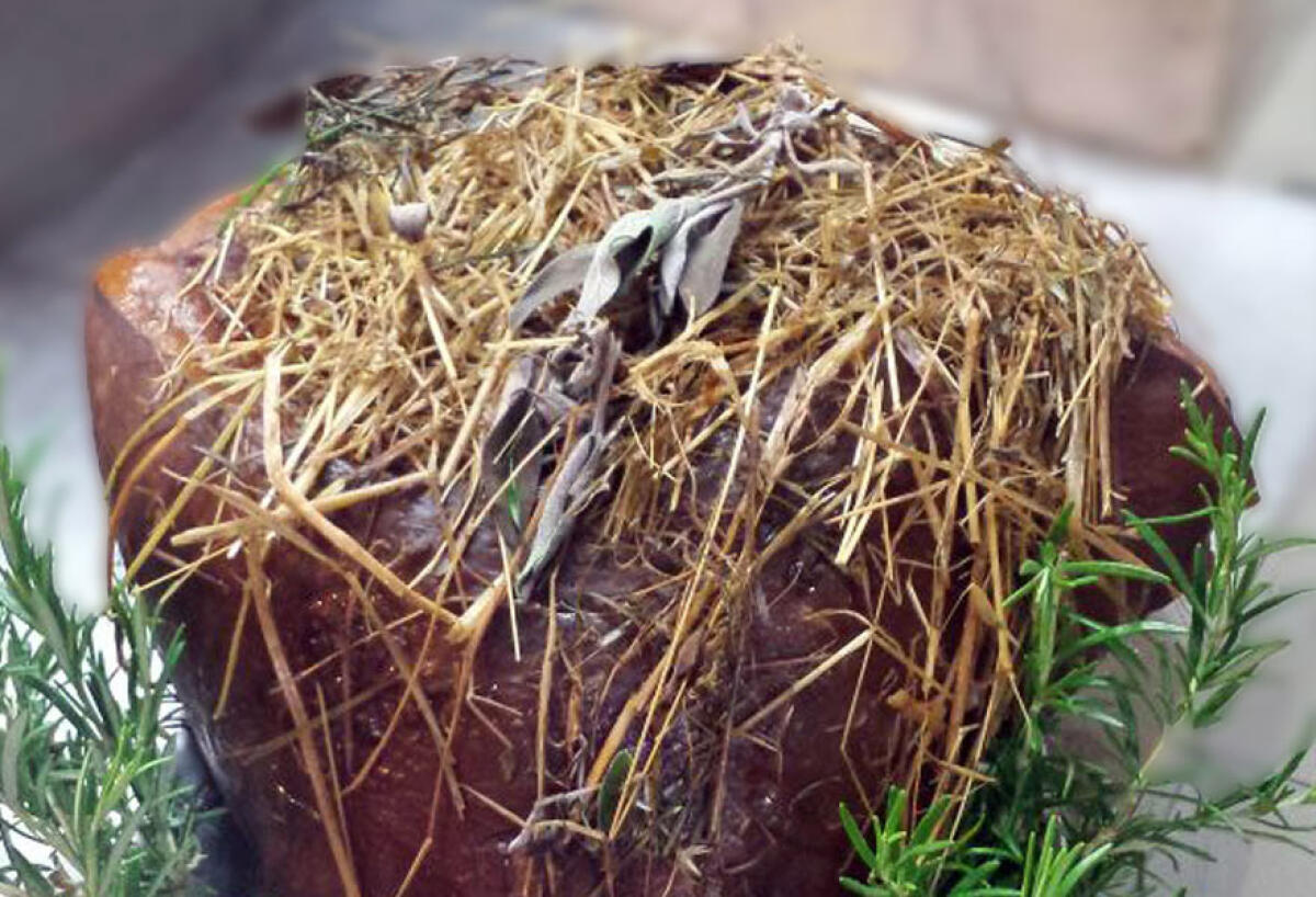 A Cori la seconda “Sagra del prosciutto cotto al vino”. - 