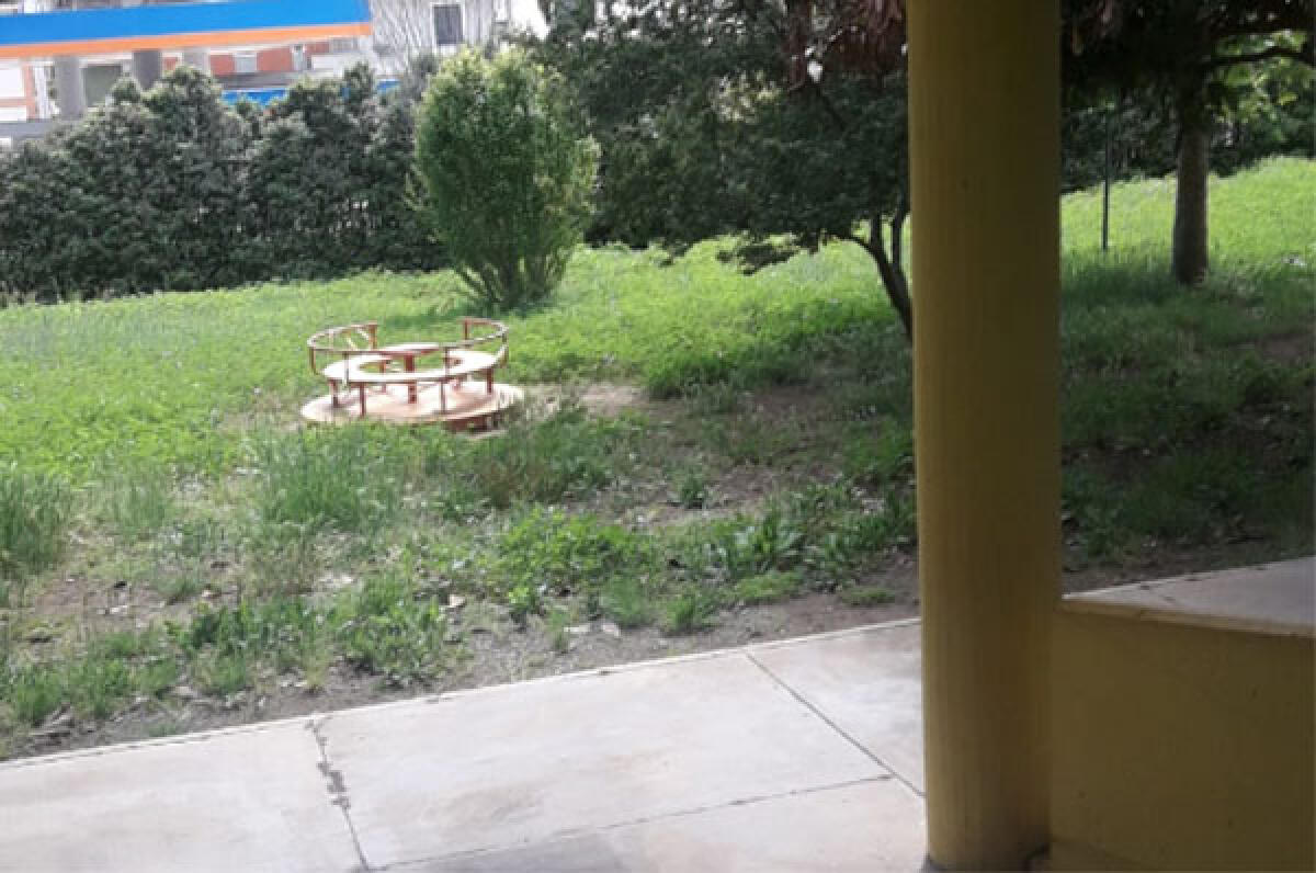 Erba alta nel giardino della scuola dell’infanzia “Arcobaleno" di Aprilia: la protesta dei genitori. - 