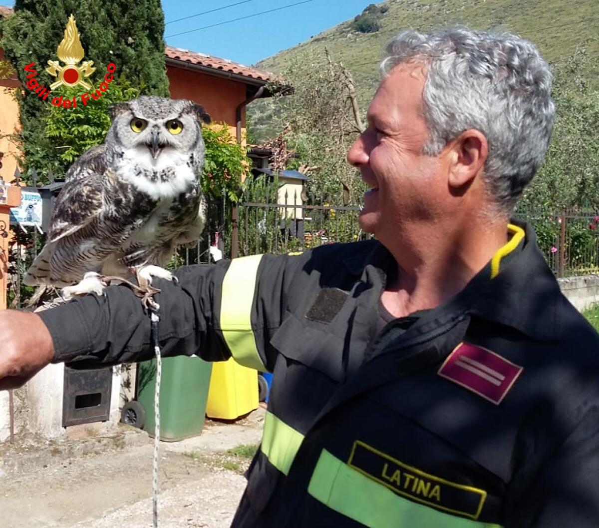 I vigili del fuoco recuperano un gufo reale siberiano intrappolato su un albero - 