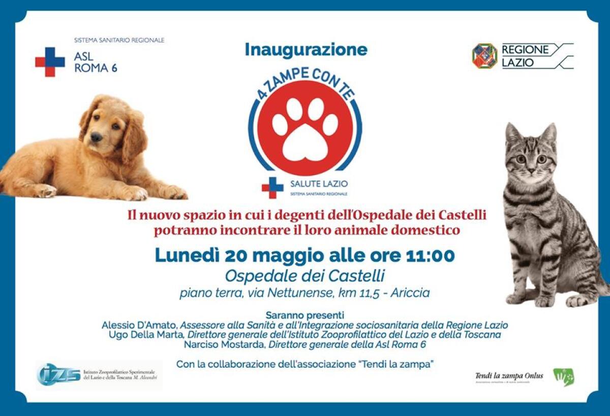 “4 Zampe con Te”: all’Ospedale dei Castelli i degenti potranno incontrare i loro animali. - 