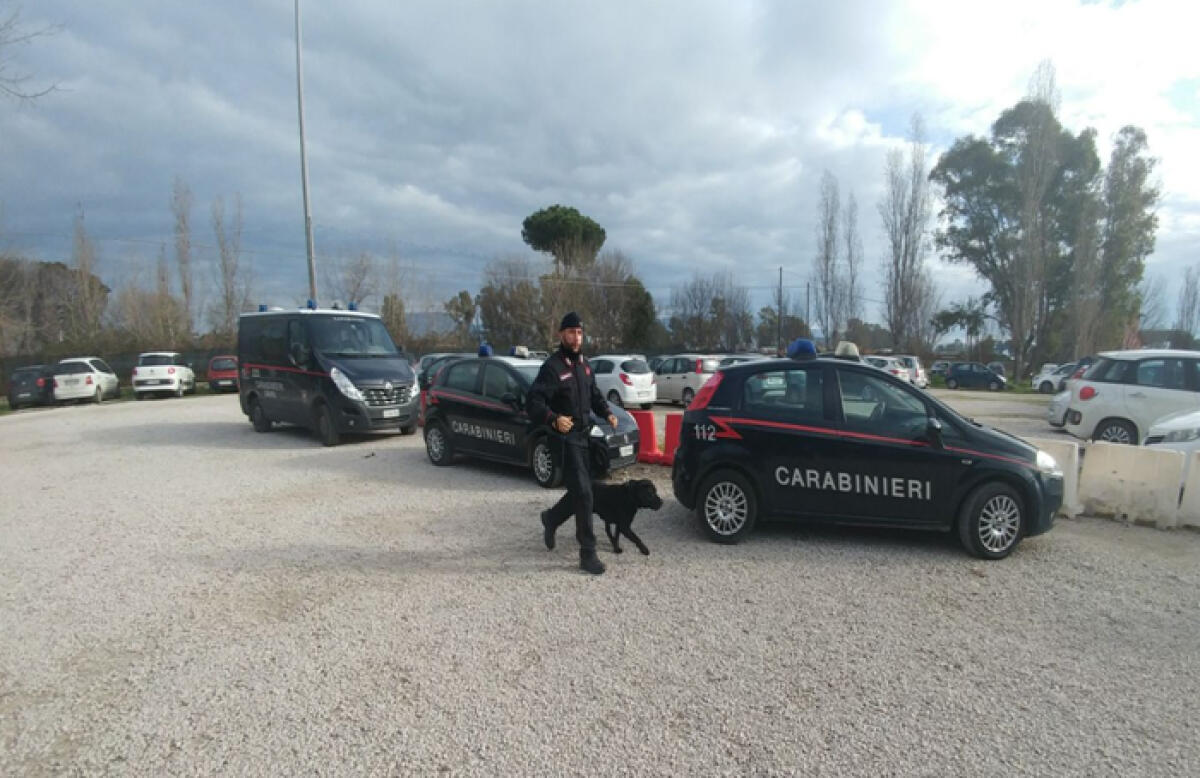 Controlli antidroga nelle scuole di Aprilia: i Carabinieri denunciano due minorenni. - 