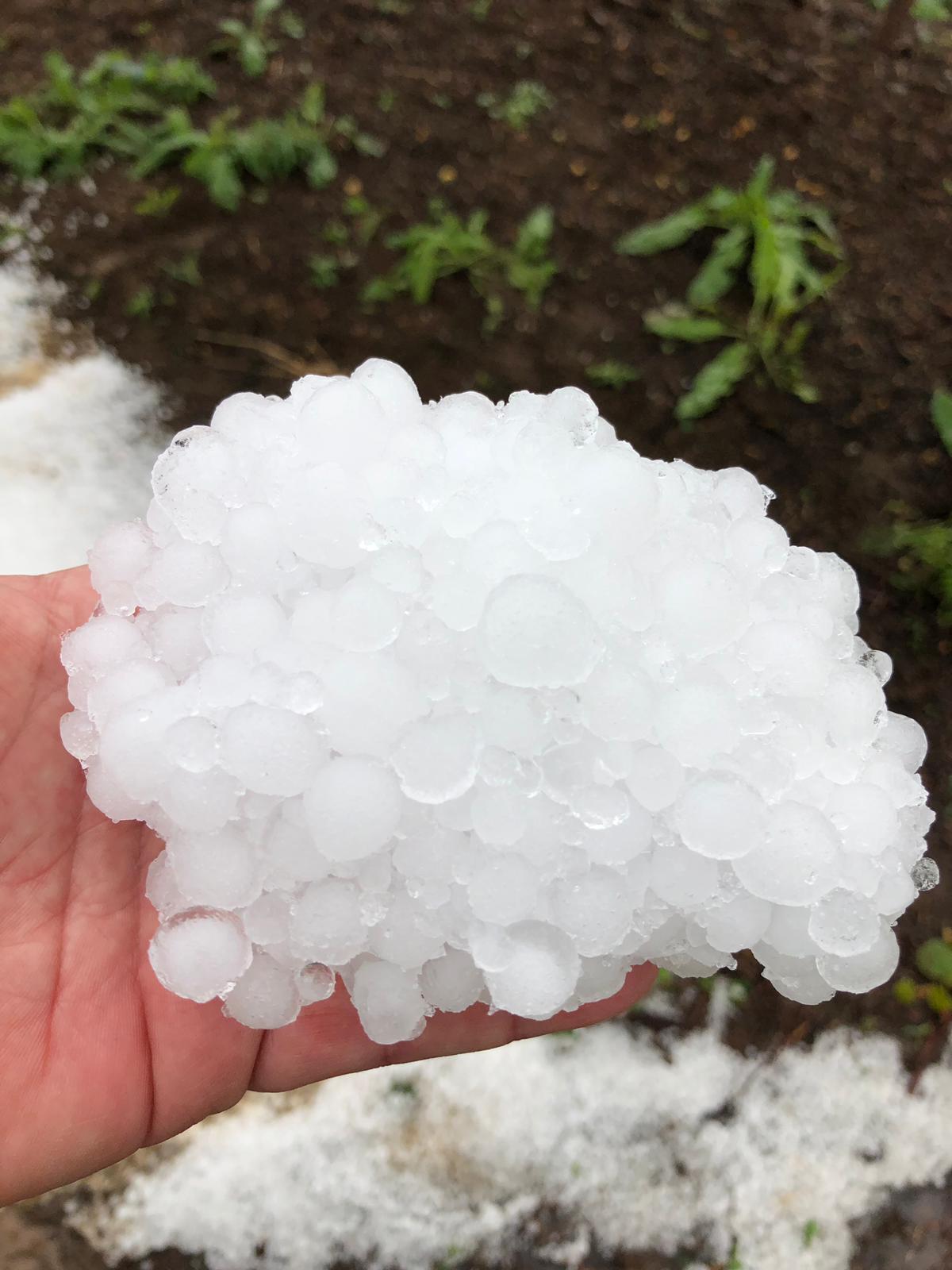 Danni per la grandinata, Cisterna chiede la calamità - 