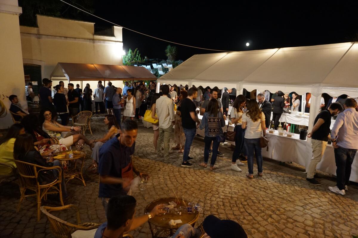 Tutti giù in cantina, a Velletri torna il Festival della cultura del Vino - 