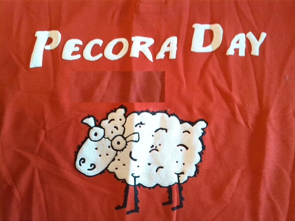Pecora Day, a Cori vino a garganella e carne sulla brace - 