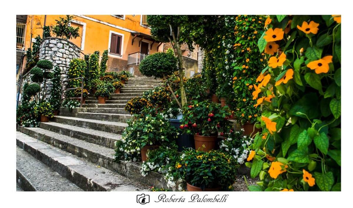 Sabato 8 e domenica 9 giugno a Priverno la seconda edizione dell’evento “I Fiori di Camilla”. - 