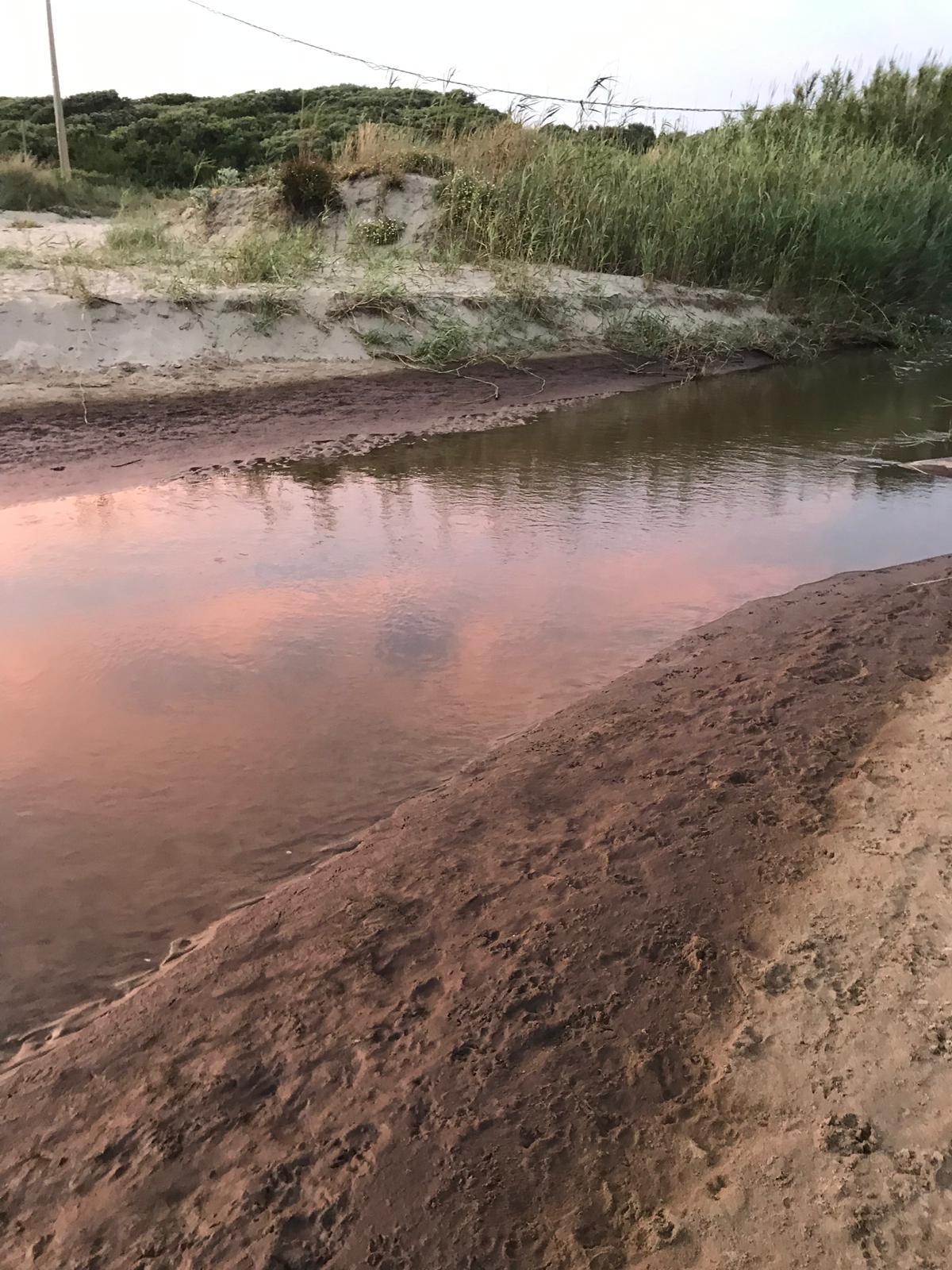 "Sversamento illecito nel mare a Lido dei Pini, atto gravissimo" FOTO - 