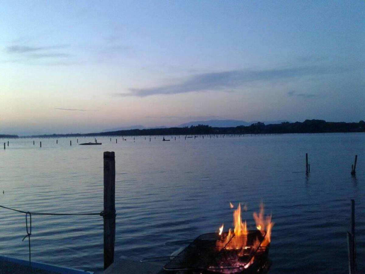 Dati di Goletta Verde sul Lago di Paola: il Comune di Sabaudia predispone immediate verifiche. - 