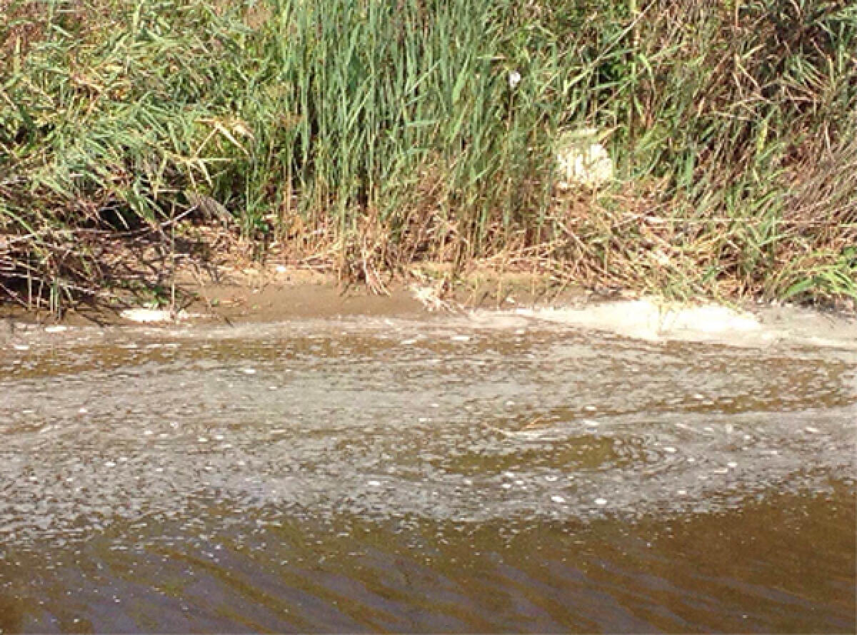 San Felice Circeo, fogna danneggiata. Ecco il motivo del divieto di balneazione - 
