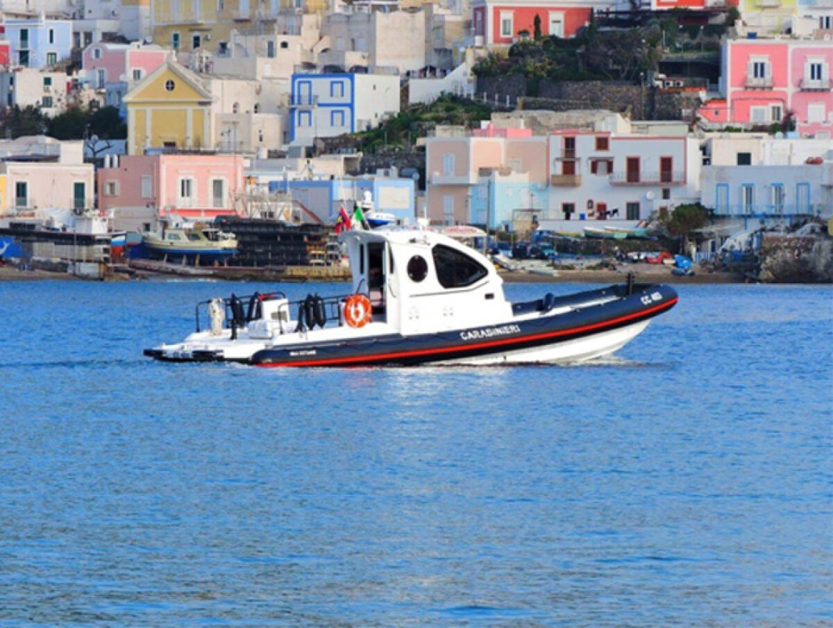 Controlli a Ponza in alcuni ristoranti: sequestrati 300 kg di prodotti ittici - 