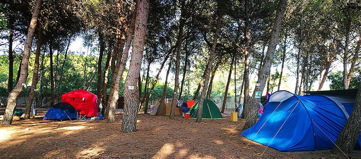 Somministrano candeggina anziché acqua a due minori, in un campeggio di Terracina: due denunce. - 