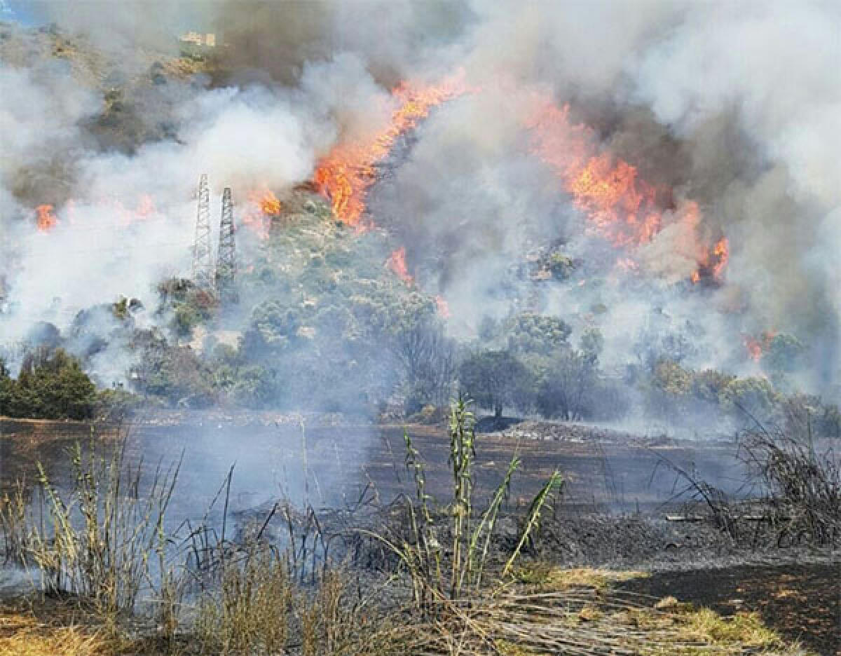 Incendio in un terreno tra Aprilia e Lanuvio, a fuoco anche i rifiuti - 