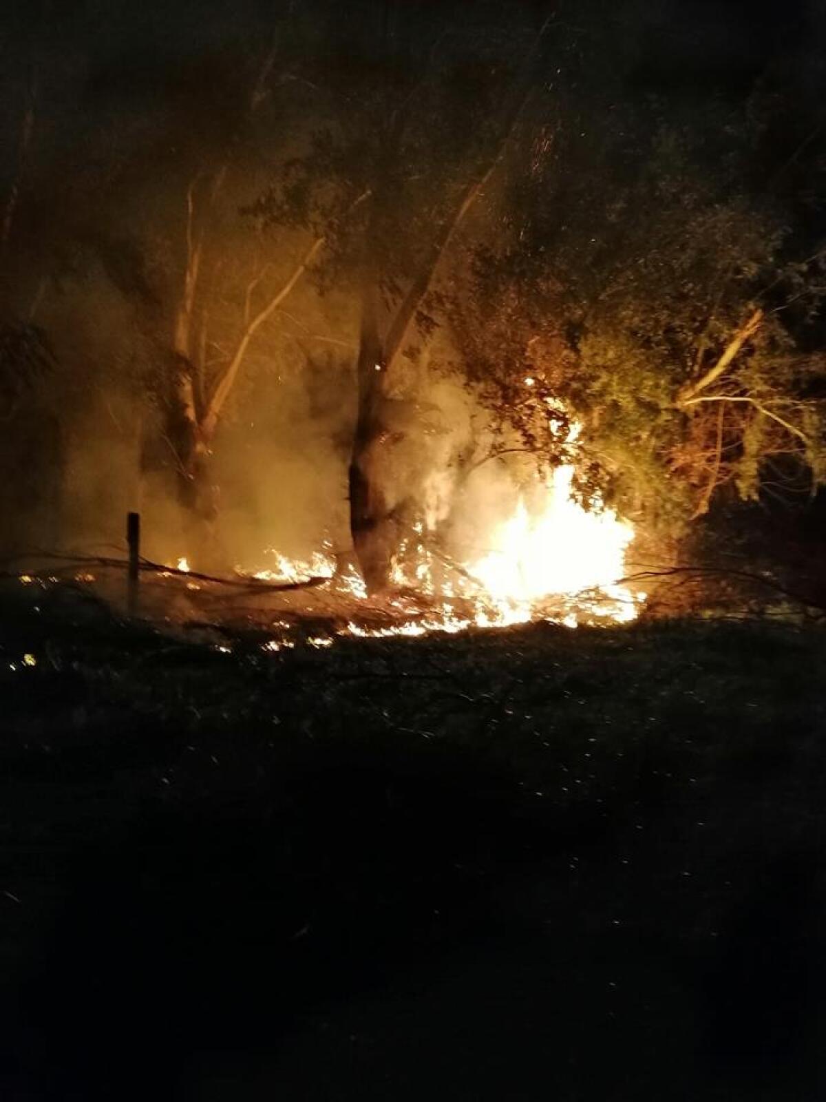 Incendio al Parco del Circeo, si indaga - 