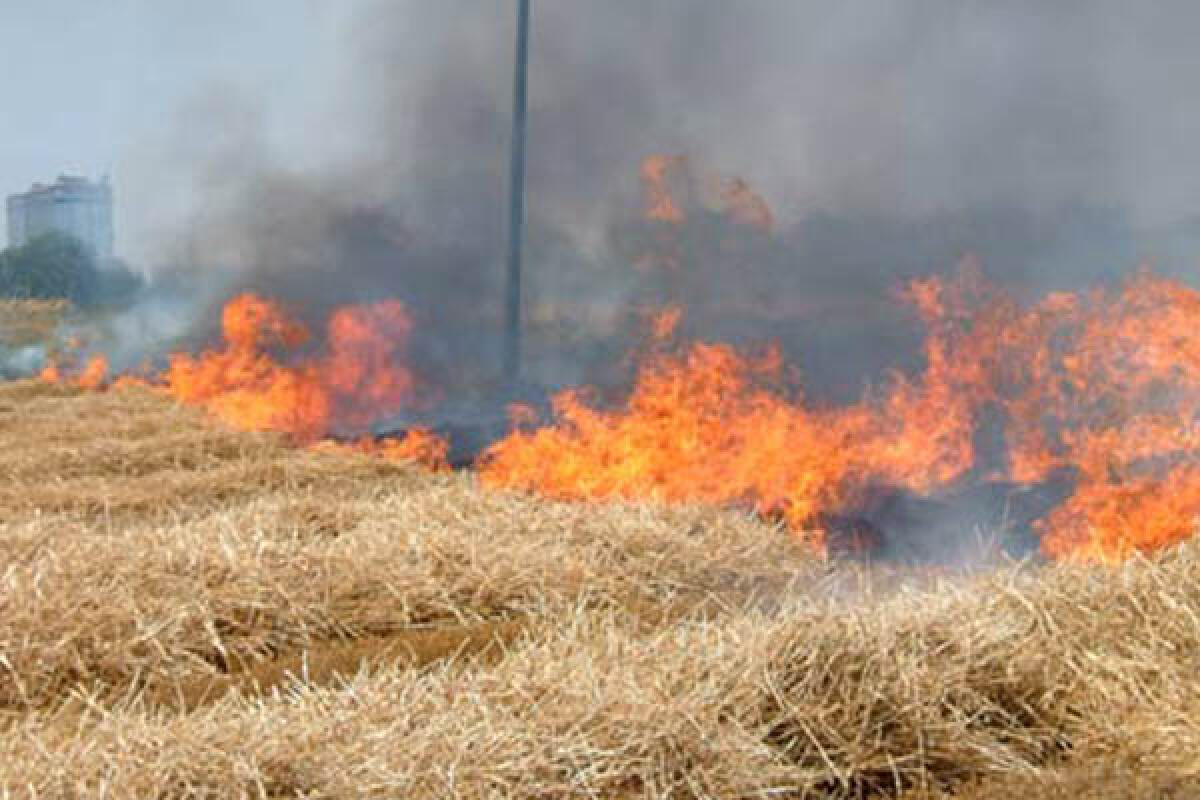 SONNINO  - Sorpreso ad appiccare un incendio, 38enne di Pontinia denunciato dai Carabinieri. - 