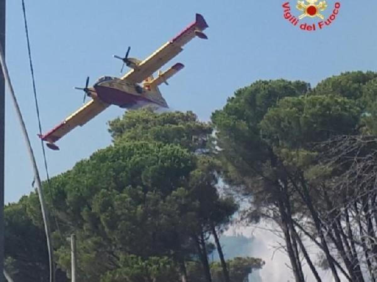 Incendio a Santi Cosma e Damiano, trovato un innesco - 